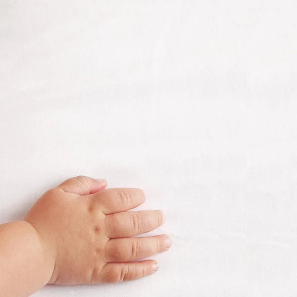 Organic Moses Basket Fitted Sheet