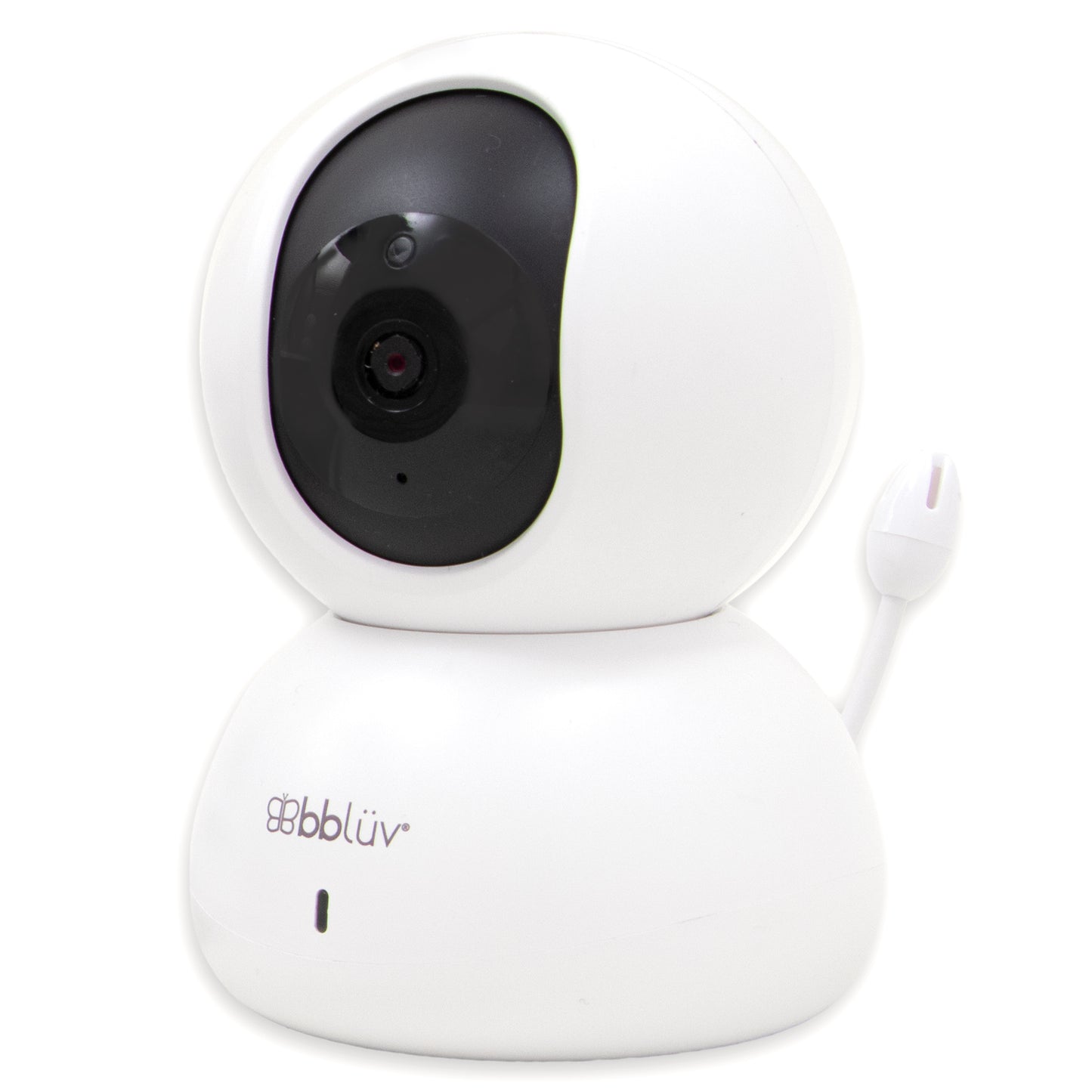 HD Video Camera and Monitor