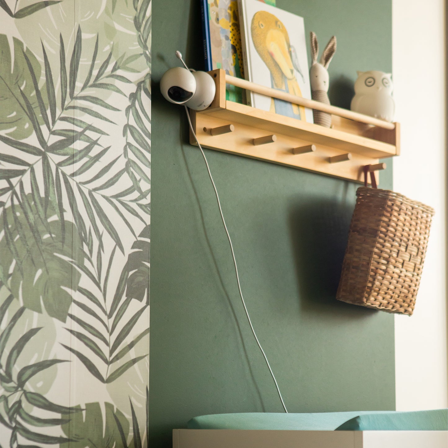 HD Video Camera and Monitor