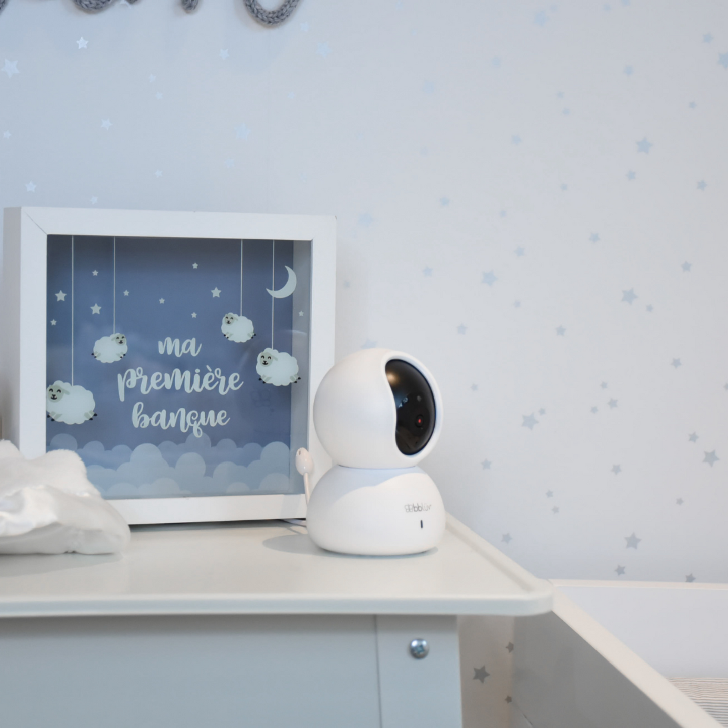 HD Video Camera and Monitor