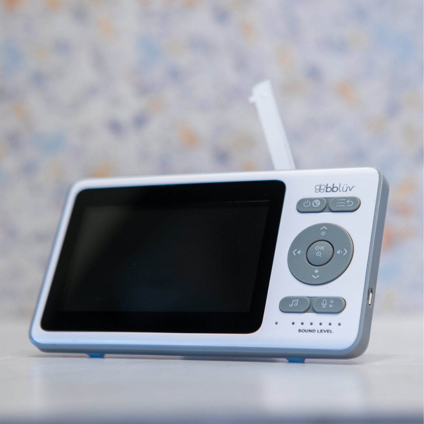 HD Video Camera and Monitor