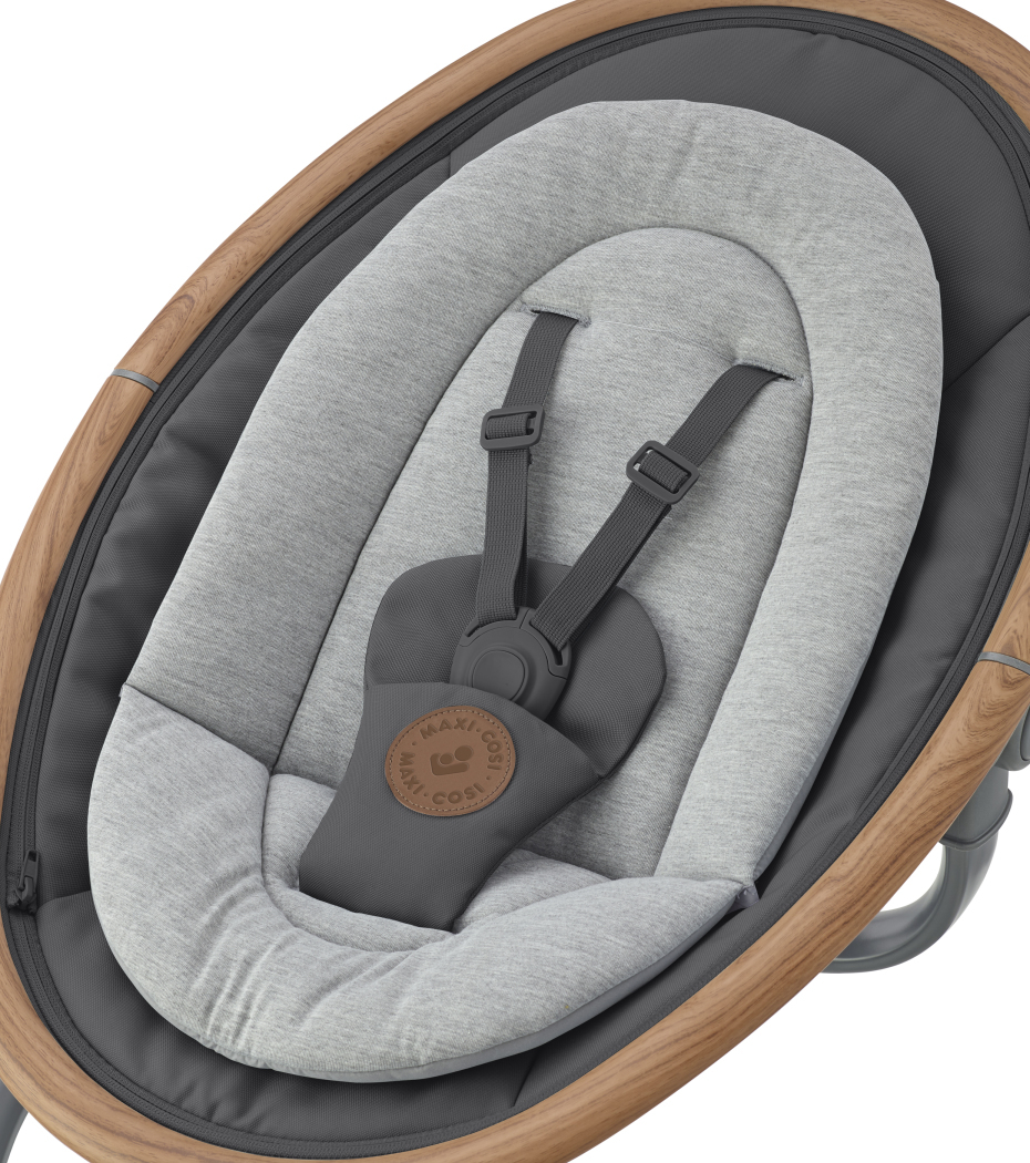Cassia Electric Swing