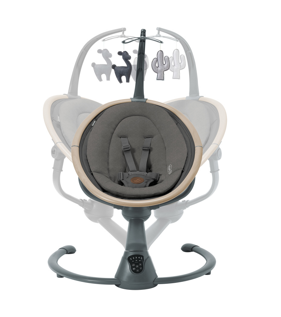 Cassia Electric Swing