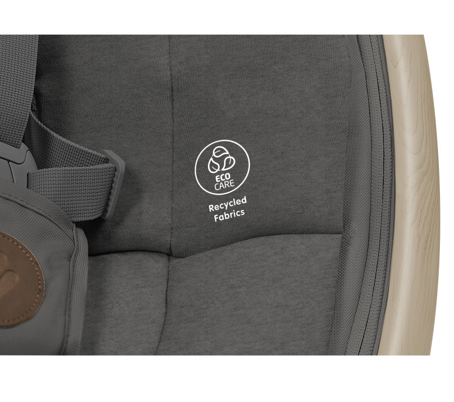 Cassia Electric Swing