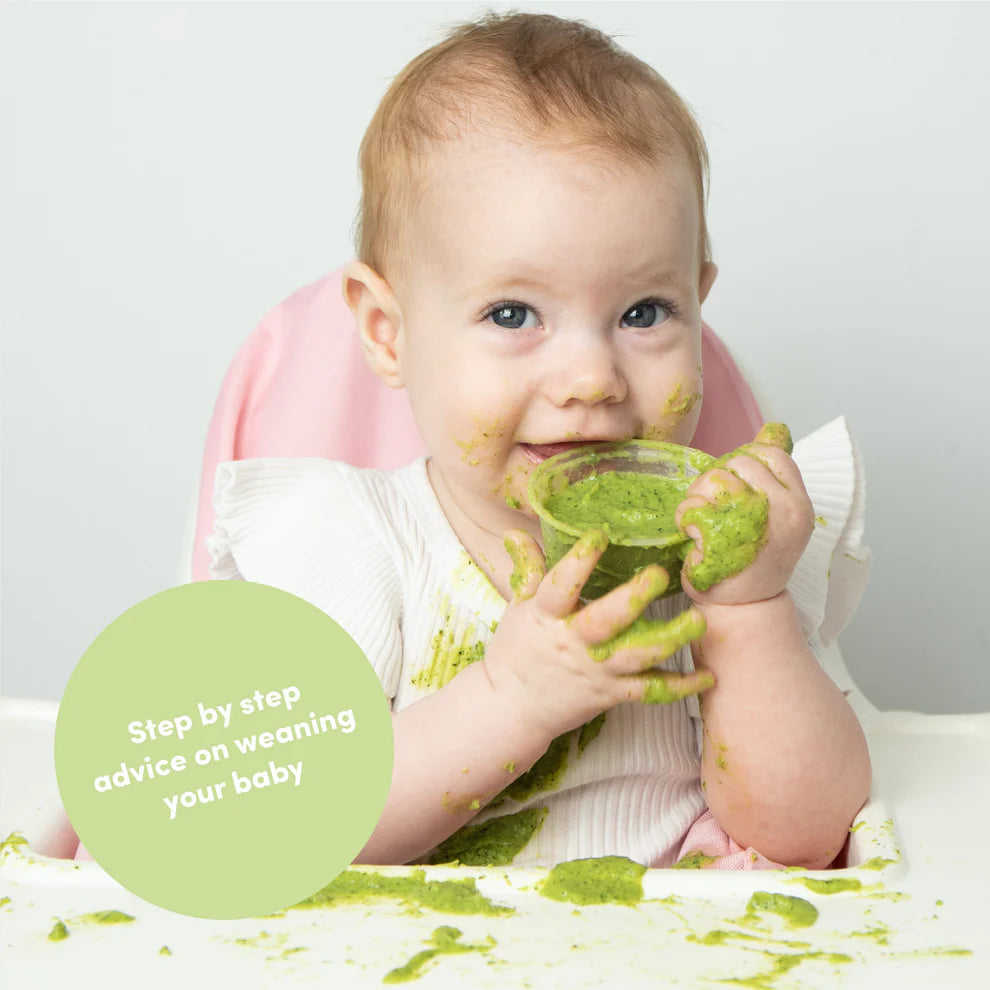 Baby & Family Recipe Book