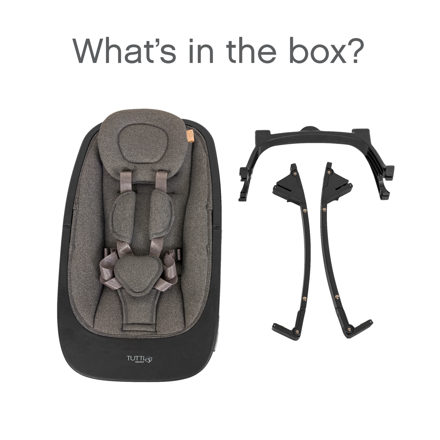 Nova Evolutionary Rocker