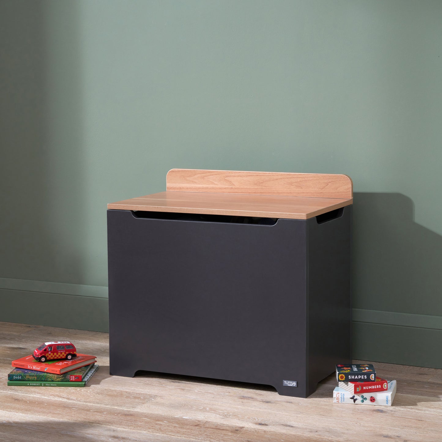 Rio Toy Box