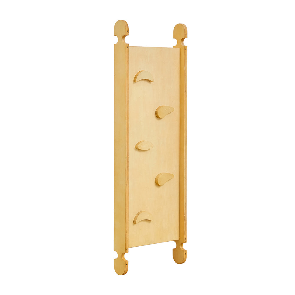 Scala 3 in 1 Pikler Climbing Frame with Climbing Wall