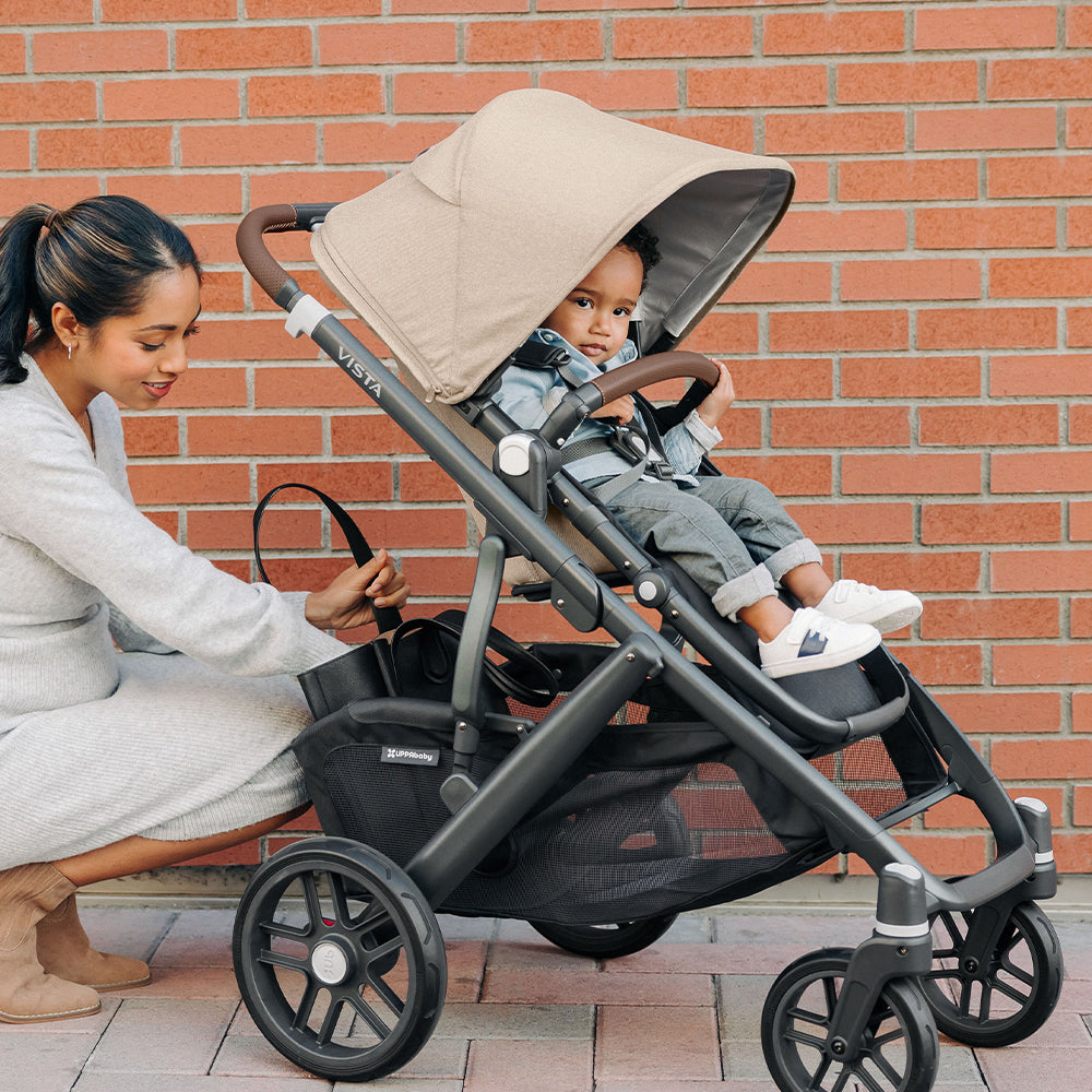 Vista V2 Pushchair & Carrycot