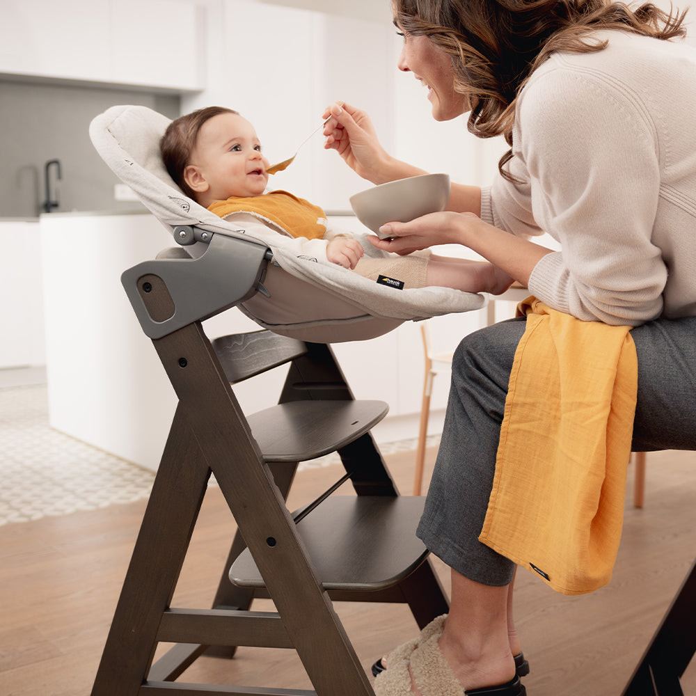 Vista V3 Pebble 360 Pro2 Newborn Bundle