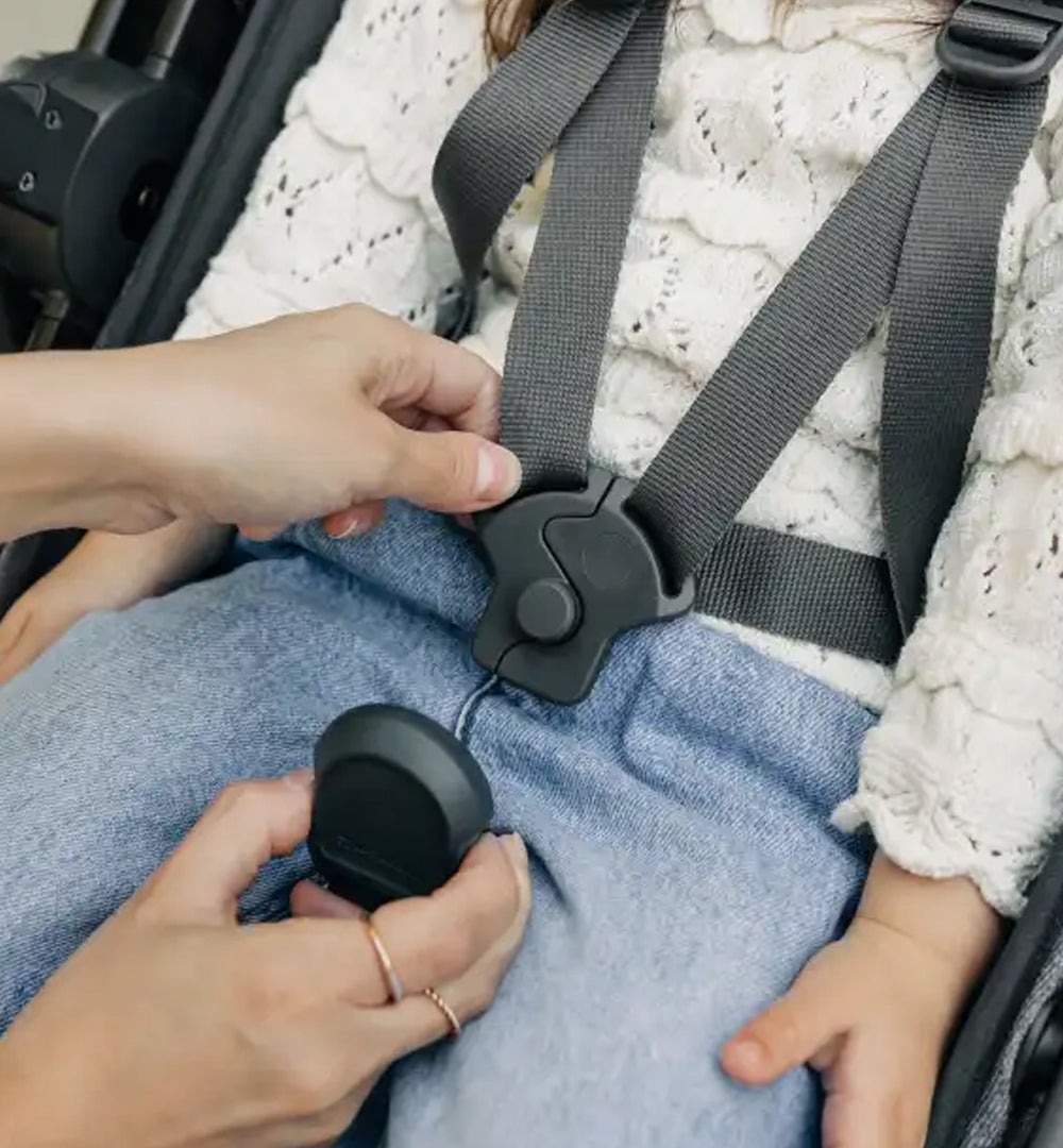 Vista V3 Pushchair & Carrycot