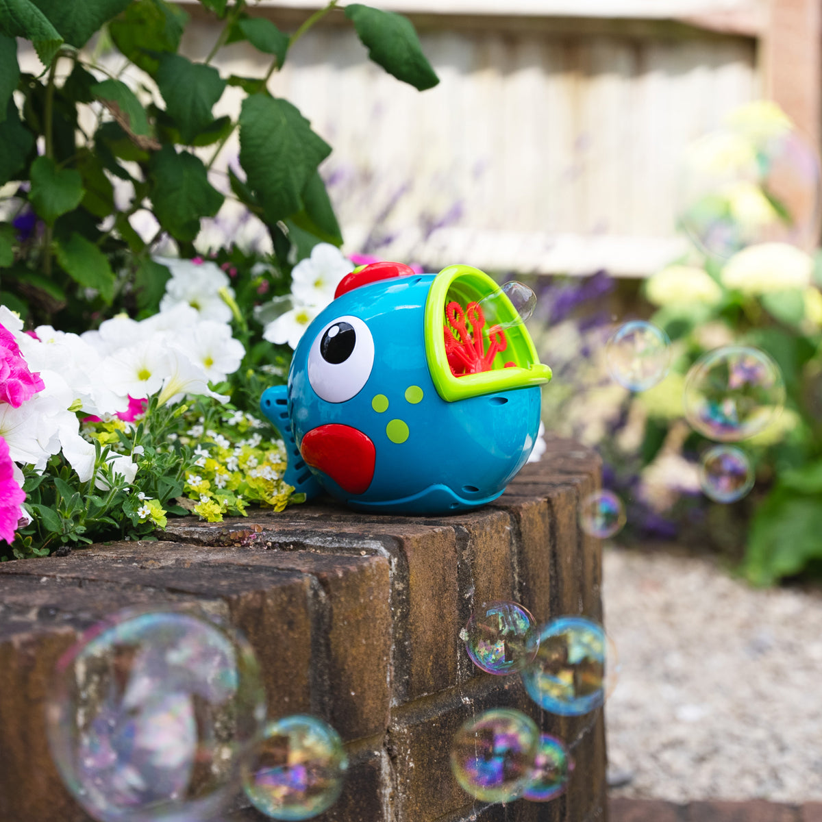Bubble Fish Freddy