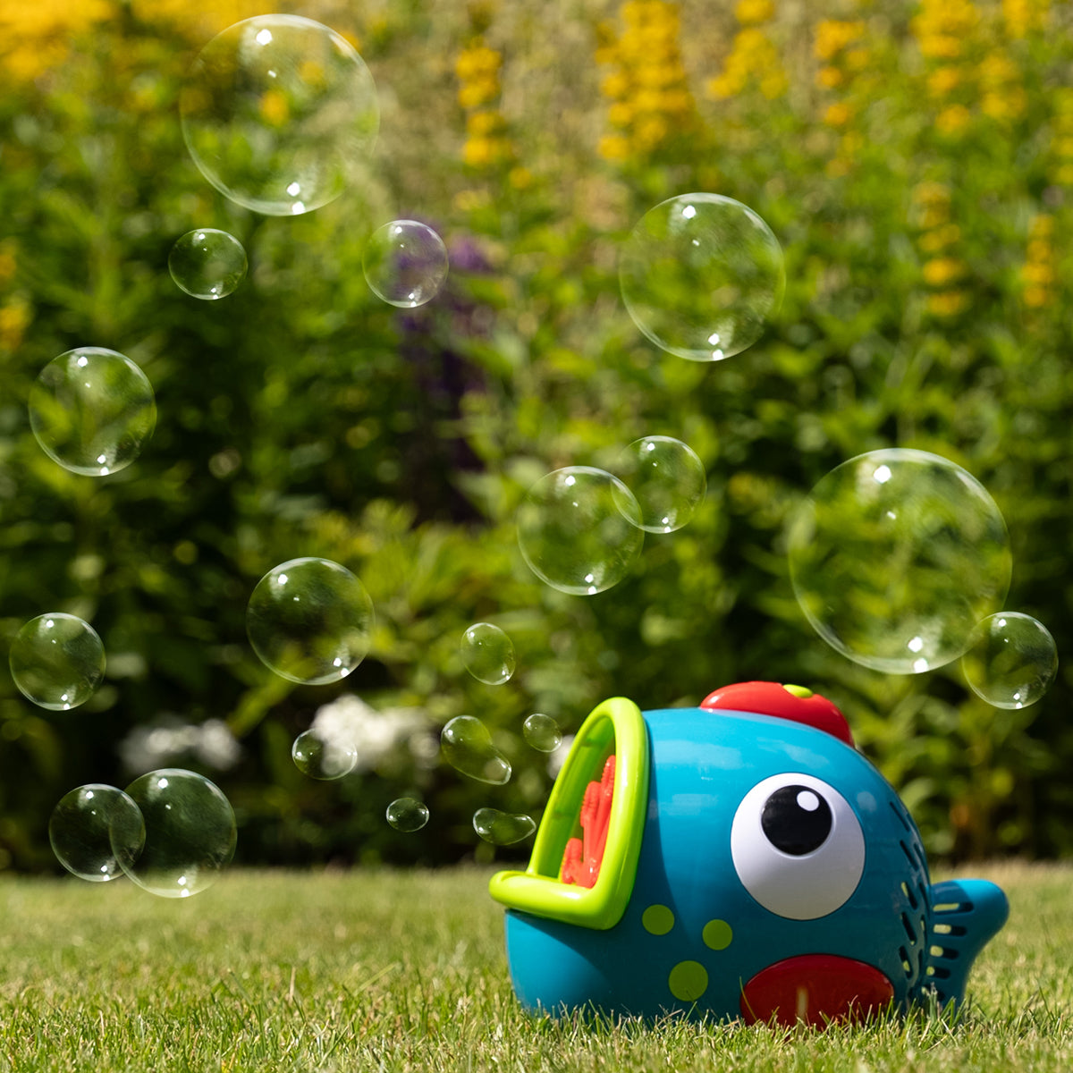 Bubble Fish Freddy