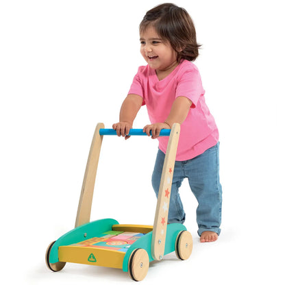 Wooden Toddle Truck and Bricks