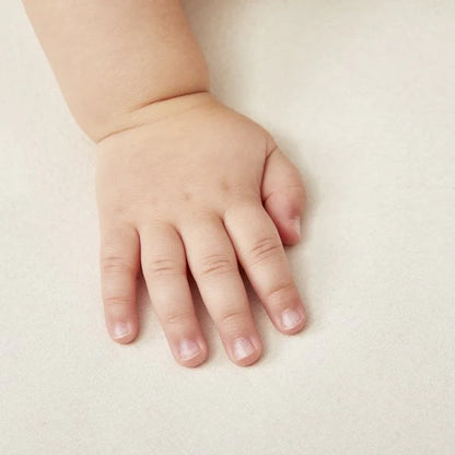 Organic Moses Basket/Pram Mattress Protector