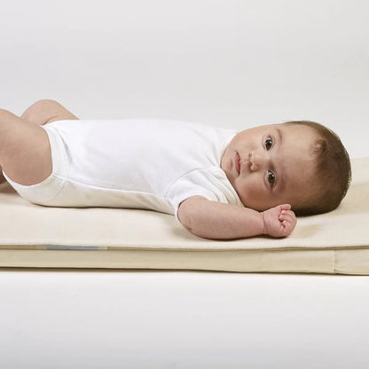 Organic Moses Basket/Pram Mattress Protector