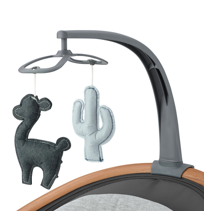 Cassia Electric Swing