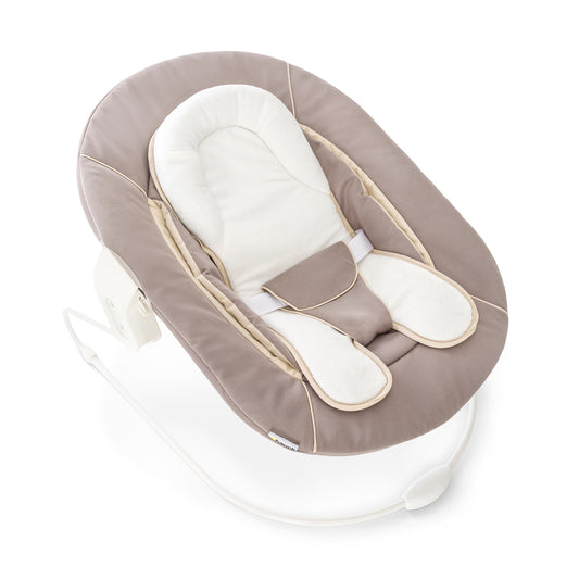 Alpha 2 in 1 Bouncer
