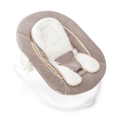 Alpha 2 in 1 Bouncer