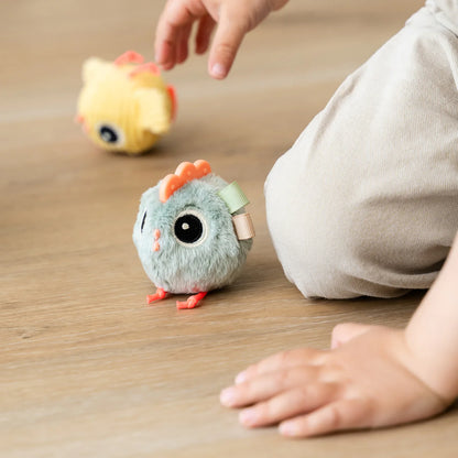 Hide & Seek Activity Toy - Clucky
