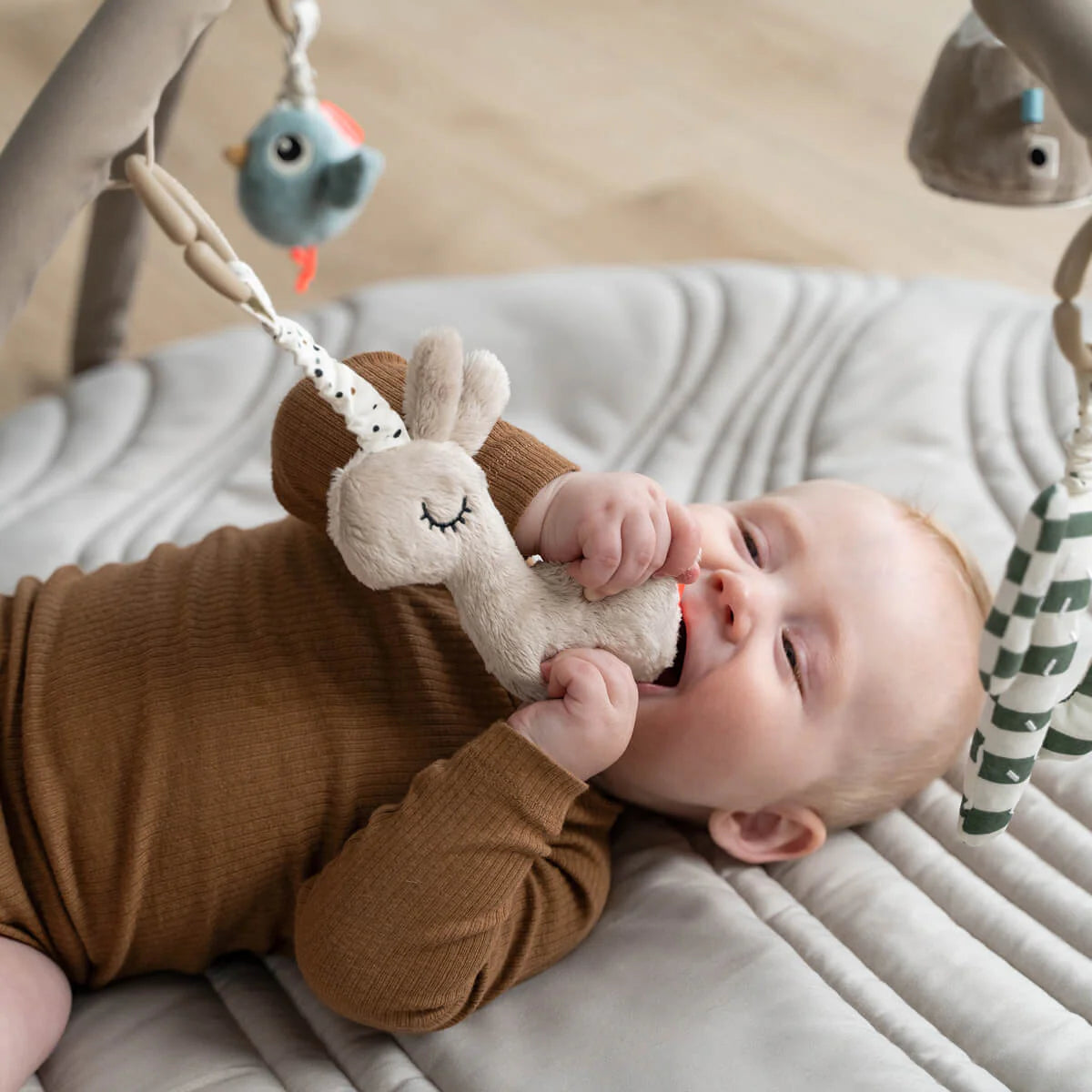 Activity Play Mat