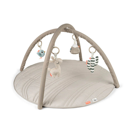 Activity Play Mat