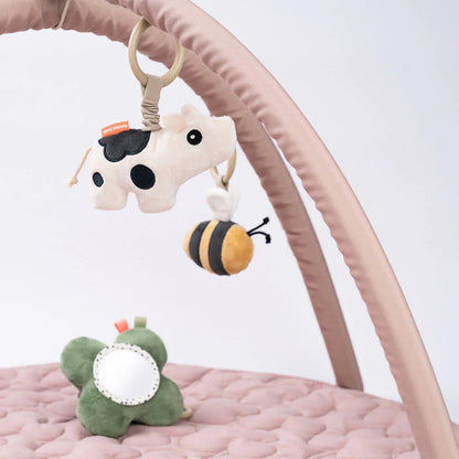 Activity Play Mat