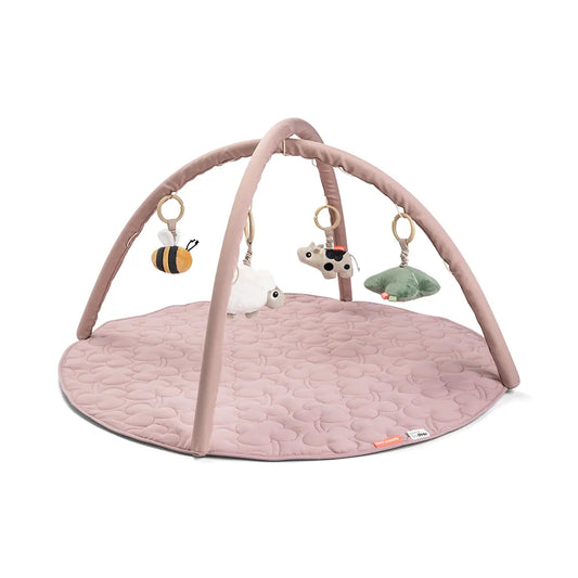 Activity Play Mat