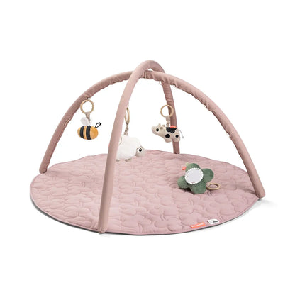 Activity Play Mat