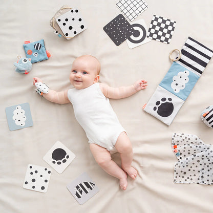 Baby Contrast Cards 10pk - Elphee