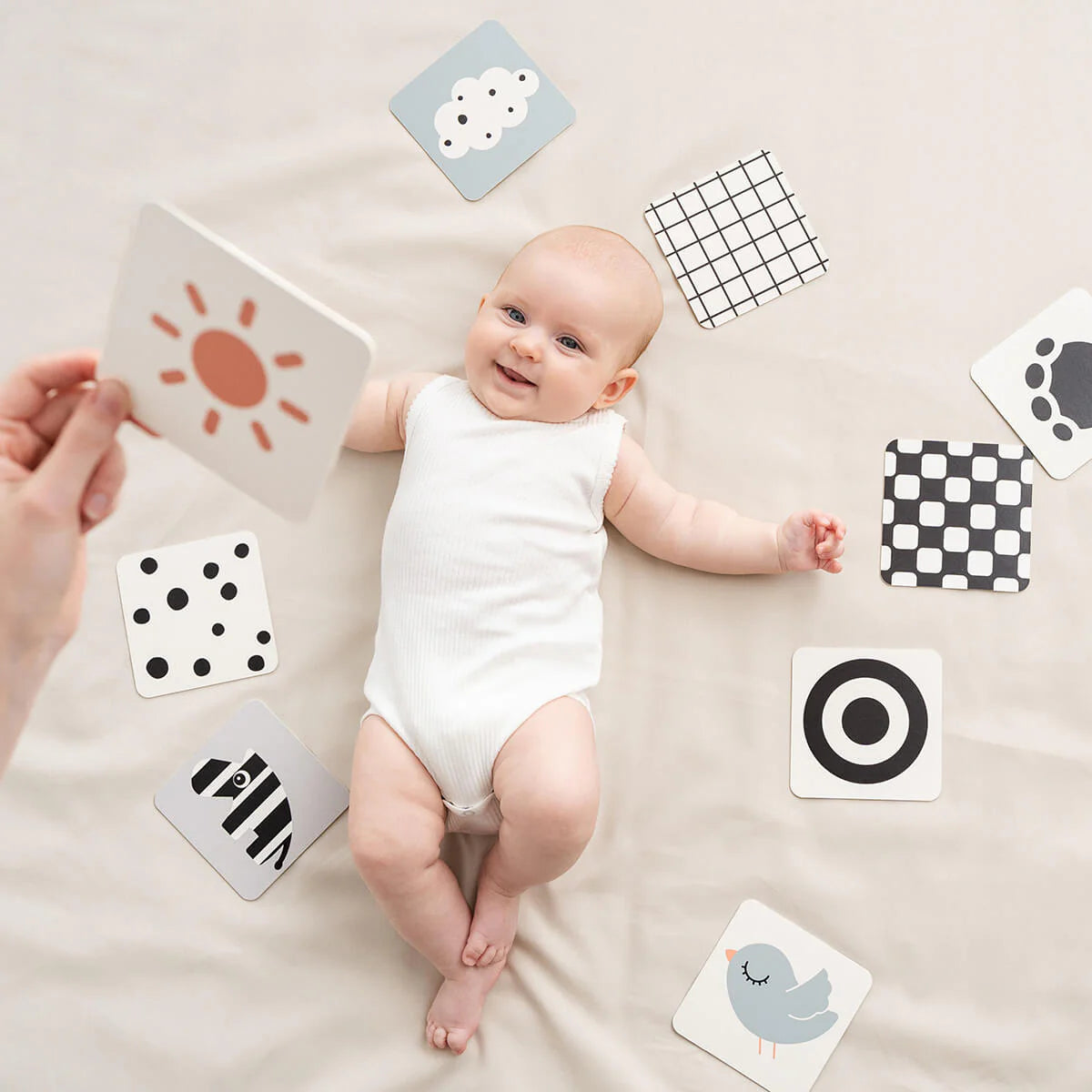 Baby Contrast Cards 10pk - Elphee