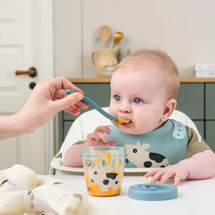 Baby food container 2pk