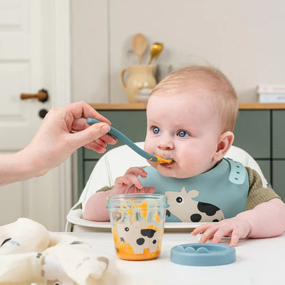 Baby food container 2pk