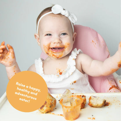 Baby & Family Recipe Book