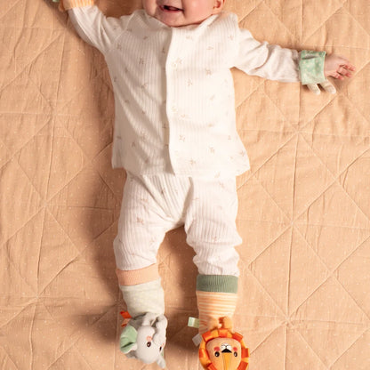 Wiggle Crew