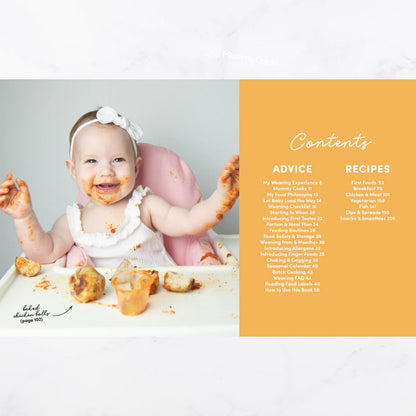 Baby & Family Recipe Book
