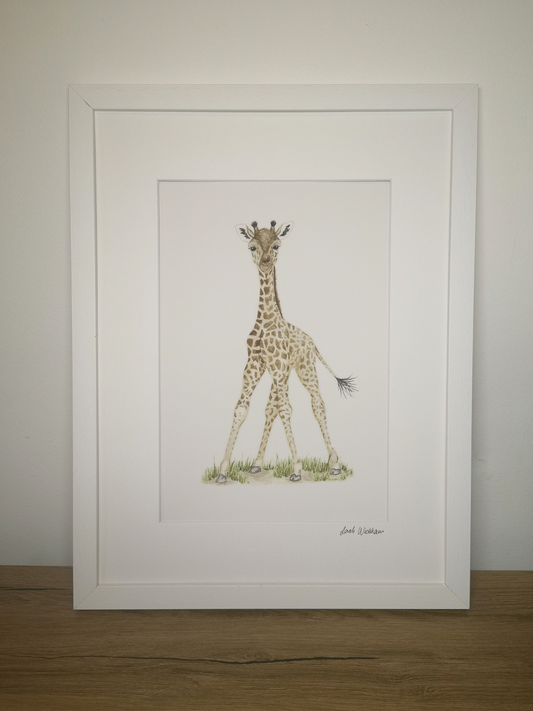 Sarah Wickham Print Medium (12x16")