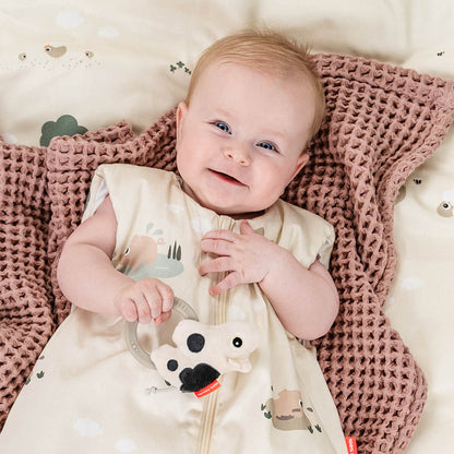 Sensory Rattle & Teether
