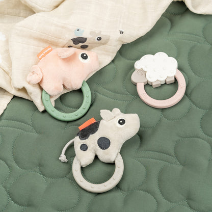 Sensory Rattle & Teether
