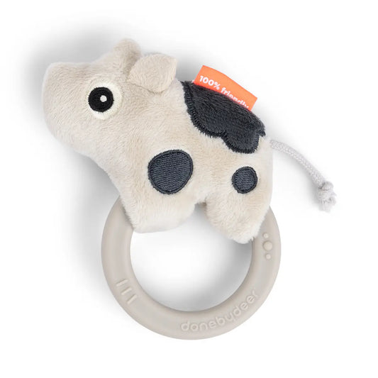 Sensory Rattle & Teether