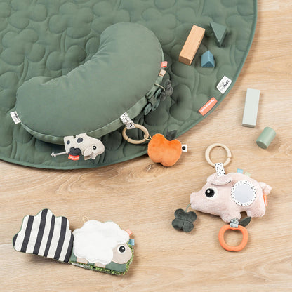 Tummy Time Activity Pillow