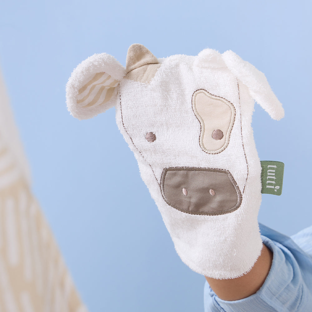 Wash Mitt