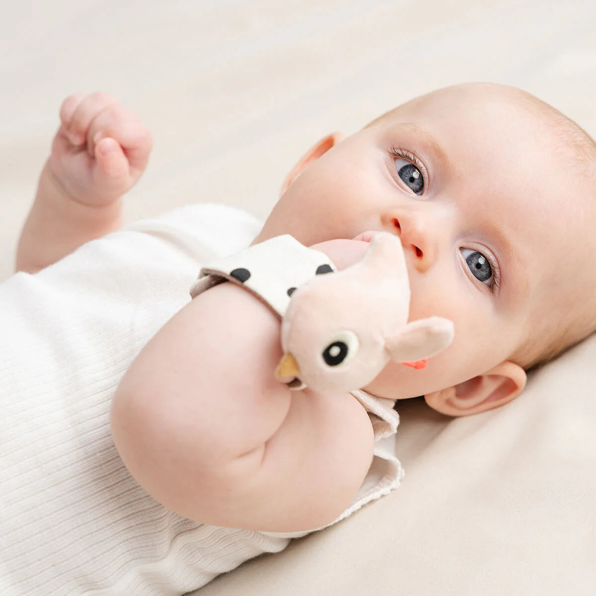 Wrist Rattle Set 2pk