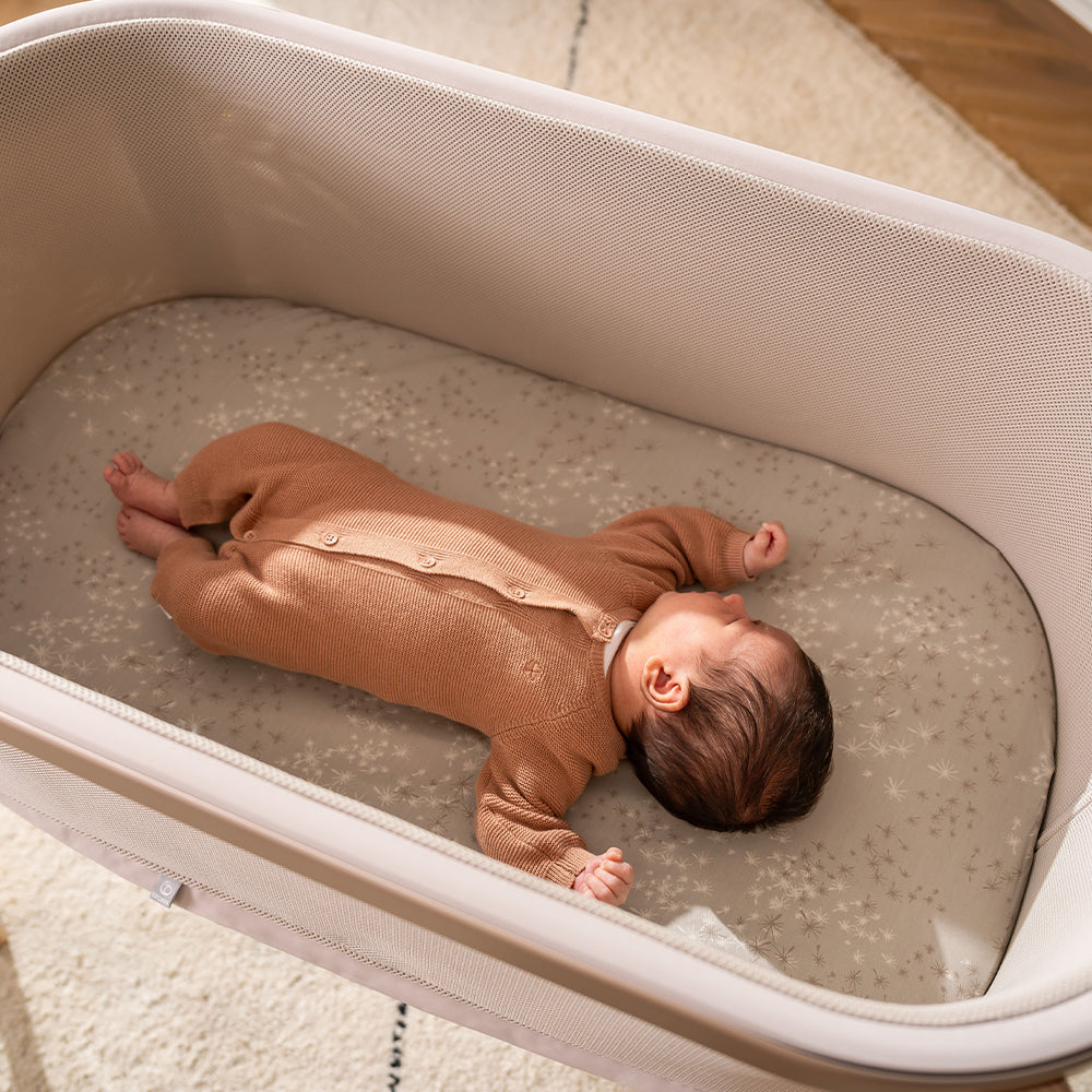 Snoozi Bassinet