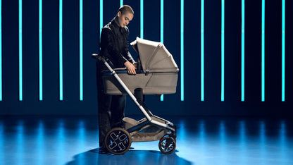 Fame Carrycot