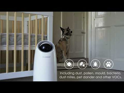 ClevaPure™ HEPA Air Purifier