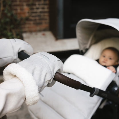 Vista V3 Winter Bundle