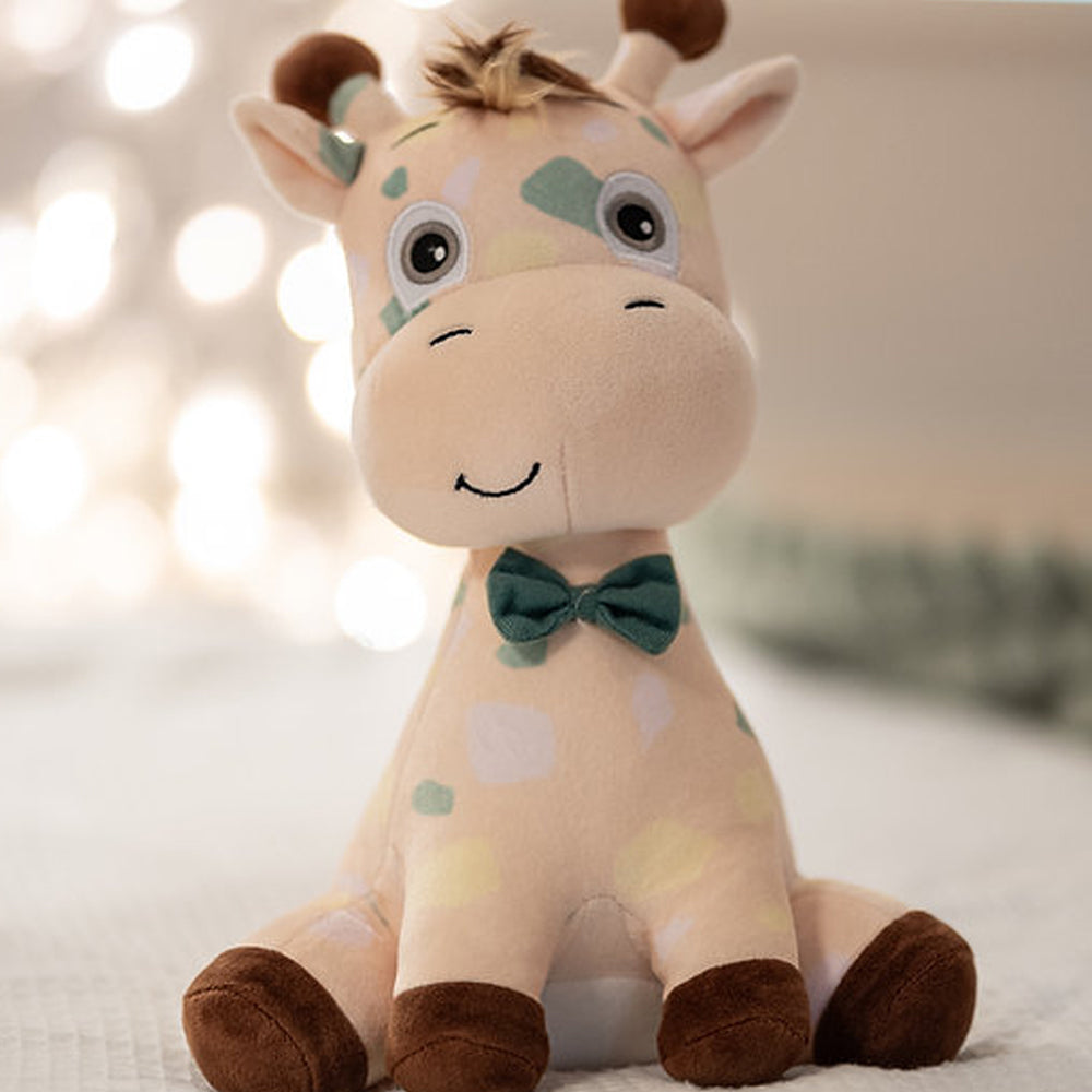 Jimbow Book & Teddy Set