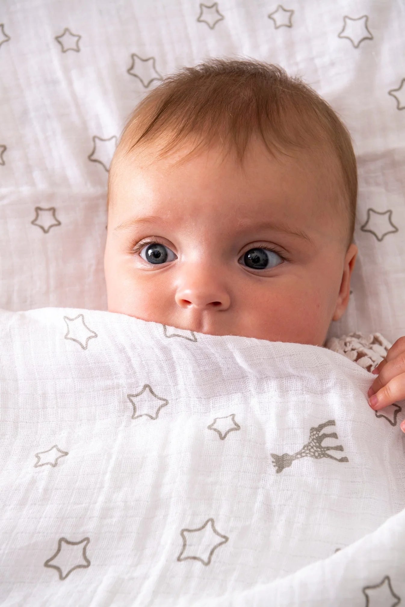 Sophiesticated The Swaddle Set