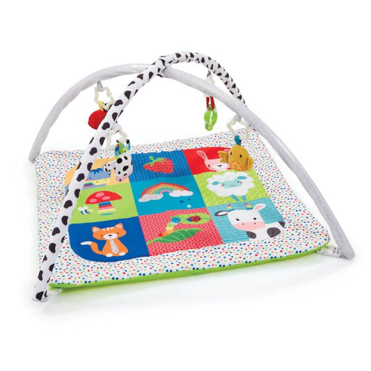 Blossom Farm Playmat and Arch